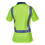 pcp1251-flye-na-back